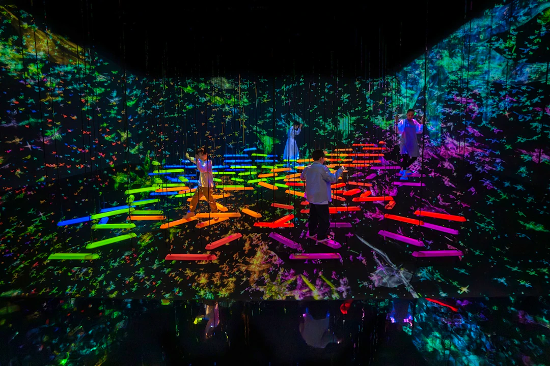 Japan TeamLab Planets TOKYO Ticket Category
